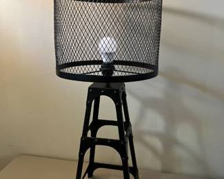 Metal mesh light 30 in