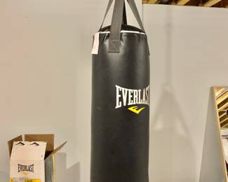 $60 - Everlast punching bag