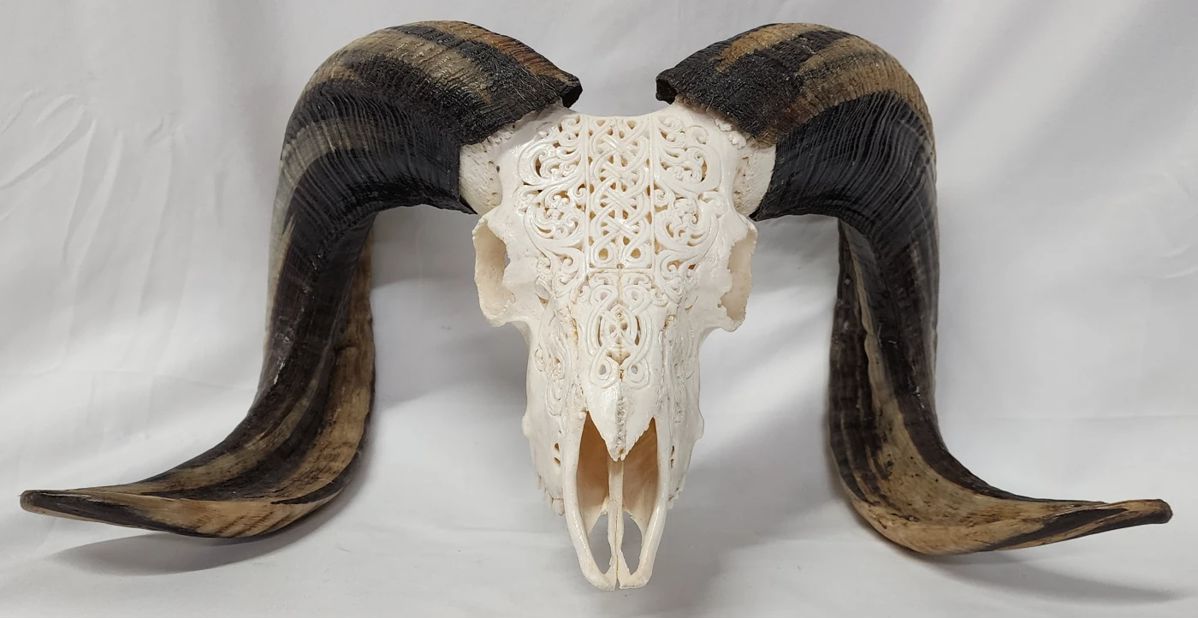 Berner's Monthly Premiere Auction in Deland, FL starts on 1/5/2024