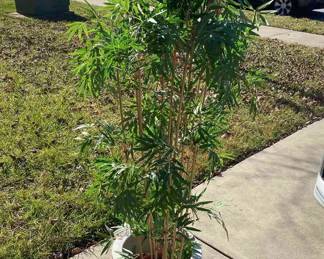 Faux 4 Ft Bamboo Tree In Decorative Planter
