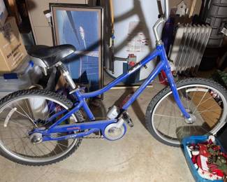 Giant Suede Mastro series bicycle with Shimano automatic rear brake	