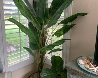 Tall Artificial Plant         $40.00                                                                              H 98”
Pot 18” Dm