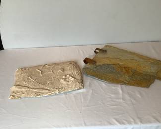 Fossilized Slate & Plaster Cast