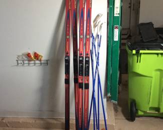 Fischer Cross Country E99 Mountain Crown Skis
