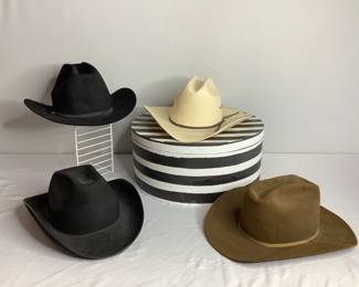 Resistol Men's Western Hat