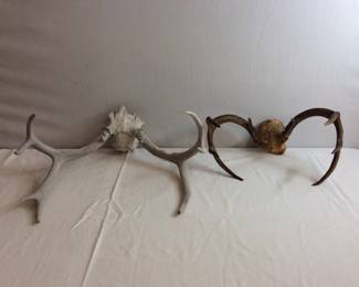 Antlers