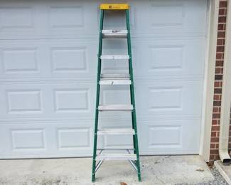 Davidson 7-Ft. Fiberglass Ladder (LPO)