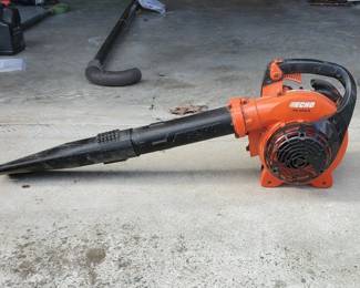 Echo Blower w/Gutter Attachment (LPO)