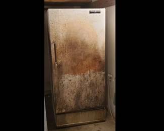 General Electric Upright Freezer (LPO)