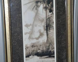 Signed Black & White Photograph by Thea Schrack is Framed & Double Matted, Titled "Equatorial Breeze II" 29" x 19", ($65). 