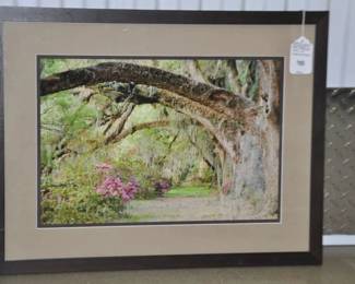 American Artist Marc Garrison (b. 1951) Color Photograph Titled, "Magnolia Park" Framed & Double Matted, Signed Inverso 24.75" x 19", ($195). 