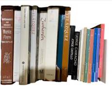 Spanish Artist Coffee Table Books