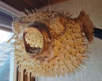 I guess SOMEbody was feeling a little prickly today!