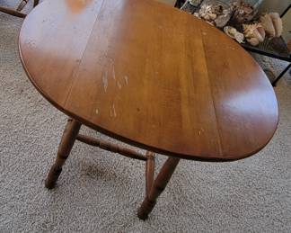 Shown with leaves extended