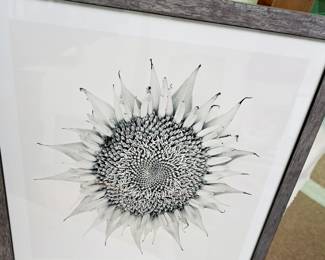 "Sunflower" photo by Megan Wyeth