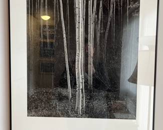 ANSEL ADAMS The Camera Book 1 Promo Poster