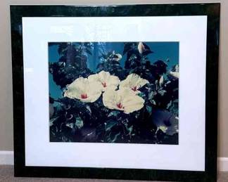 Framed Hibiscus Colored Photo