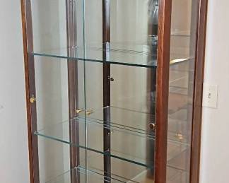 Contemporary Hardwood Display Cabinet