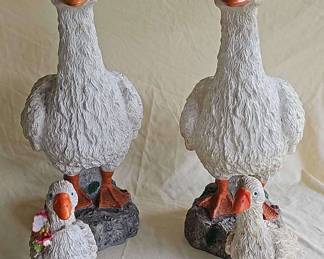 Family of Ducks for you Patio Pool