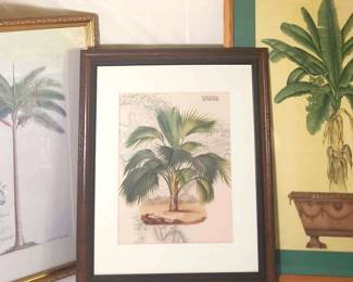 Three Framed Palm Tree Prints