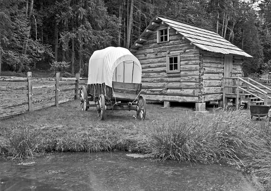 Stop by Friday and Saturday!