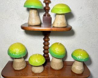 Psychedelic Mushrooms 