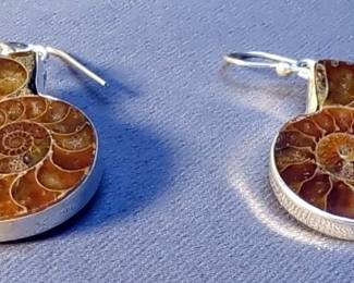Natural Spiral Ammonite Fossil Earrings, Approx 30mm