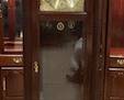 Ethan Allen Grandfather Clock