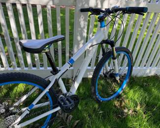 Trek Skye 13-inch Mountain Bike
