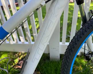 Trek Skye 13-inch Mountain Bike
