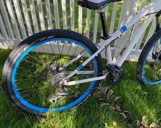 Trek Skye 13-inch Mountain Bike
