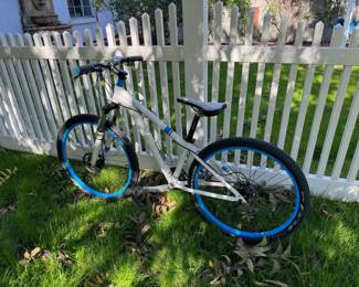 Trek Skye 13-inch Mountain Bike
