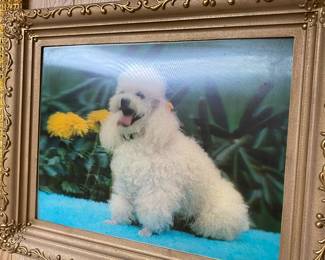 Hologram Poodle