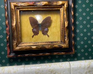 Framed butterfly artwork