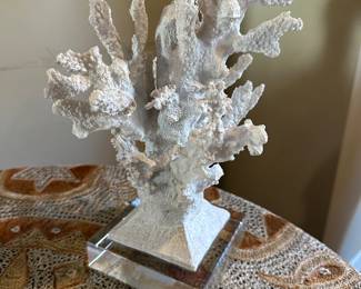 Reproduction coral on  acrylic decor