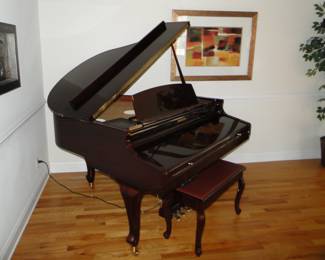 Kohler Digital Baby Grand Piano