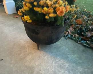 Cast iron pot