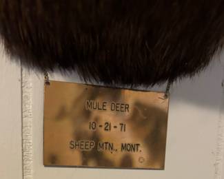 10-21-71
Sheep Mountain, Montana