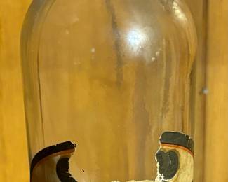 Vintage Tequila Bottle