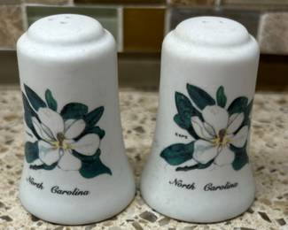 North Carolina Salt & Pepper Shakers