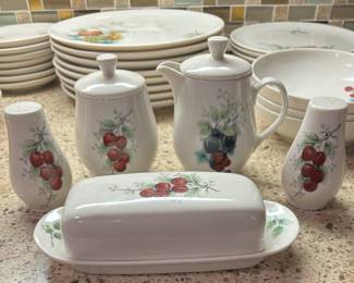 Wayside Syracuse Carefree China Set
