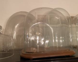 Victorian Glass Domes