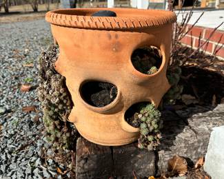 Y7 - $20 each. 2 available. Terra Cotta planters with Hens & Chicks