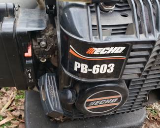 T30 - $125. Echo PB-603 backpack Leaf Blower (runs). 
