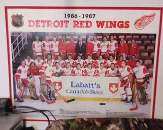 Detroit Red Wings 1986 through 87 team photograph