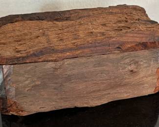 Petrified wood domino box