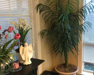 3 different palm trees