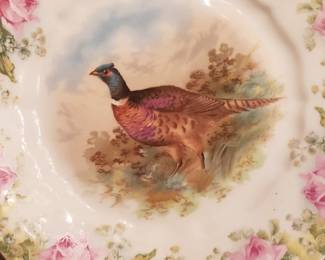 Set of 6 China plates with different types of birds