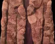 "Merry Times in Montclair" in Augusta, GA. Closing on Sun 12/17 at 8p. Pickup: Tue 12/19 from 1-6pm. Please click here to view more photos, descriptions, and current bids:&nbsp;https://ctbids.com/estate-sale/25586
Andy & Rebecca Beard, Owners of Caring Transitions of Augusta, present this CTBIDS sale! This sale features a Uranium Glass Lamp, African & Mexican Masks & Decor, Signed Decorative Pottery, Copper Cake Molds, Emeralite Bankers Lamp, Fur Coats, Fenton & Uranium Glass, Jadeite Candle Holders & Bowl, Lalique Figurines, Louis XVI-Style Buffett & Sideboard, Vintage Fire King, Pyrex, Corningware, Wedgwood & Roseville, Vinyl Records & more! GA LIC AU0045