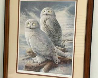 "The Snowy Owl" By Raymond Watson